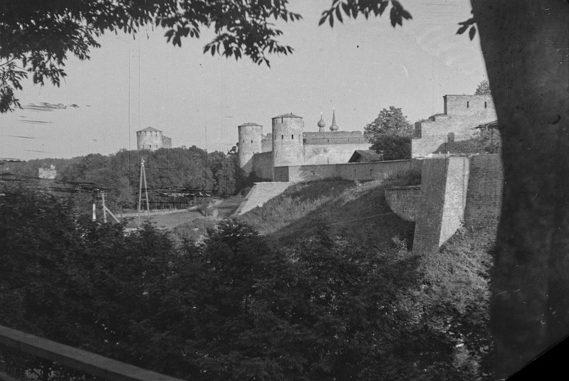 Vaade Narva linnustele