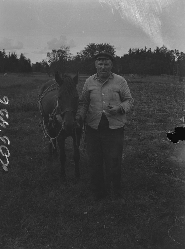 Robert Rosenfeldt hobusega, Aiskalni k