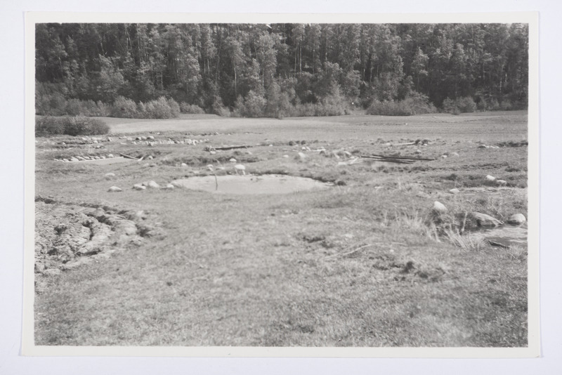 Vaade linaligudele, Meremäe v