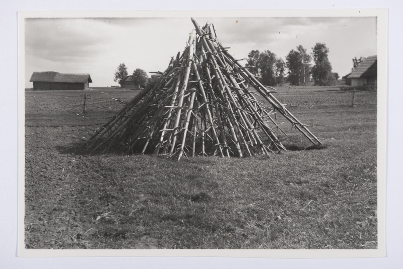 Vilja kärbised, Meremäe v, Küllatova k