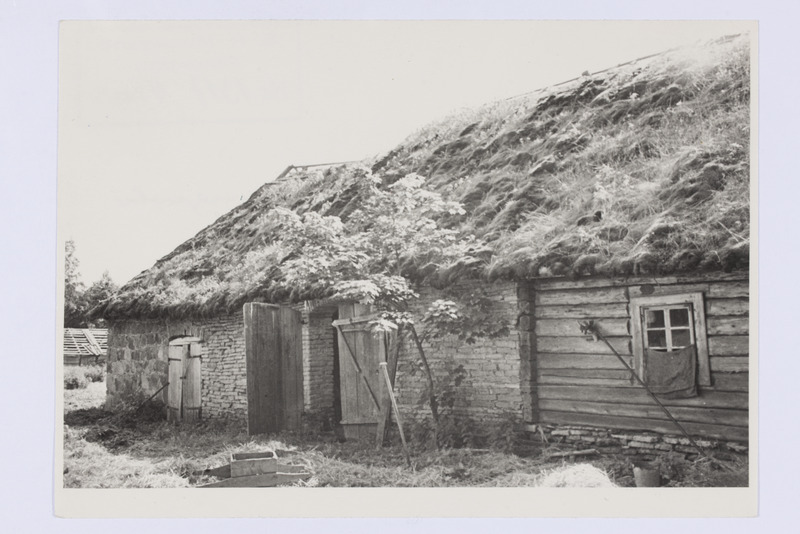 Rehielamu rehealuse ja sarapoolne osa. Leoska t, Vihula k, Haljala khk