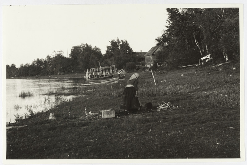 Naroova kallas Ust-Žerdjanka küla lähedal, 1940. Kose v, Narvataguse