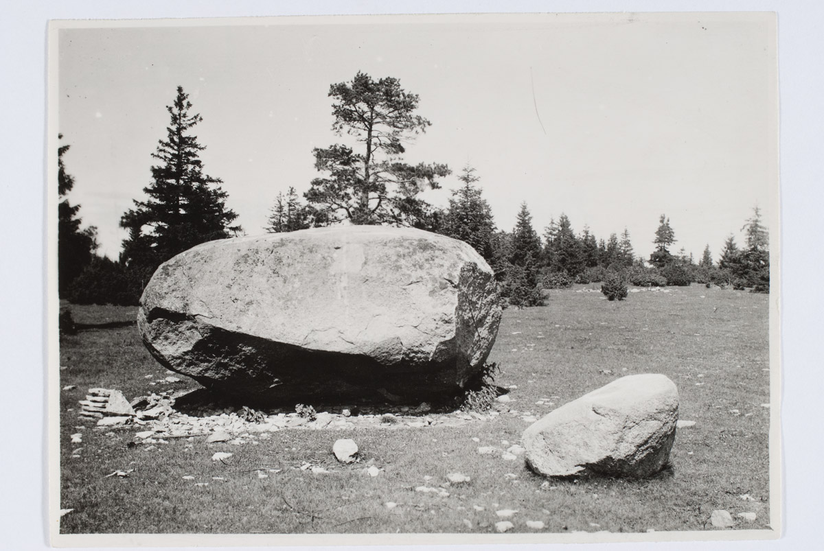 Härjakivi Hinnu kaldal (praegu lõhutud) 1922. Jõelähtme khk, Kodasoo v, Kaberla k