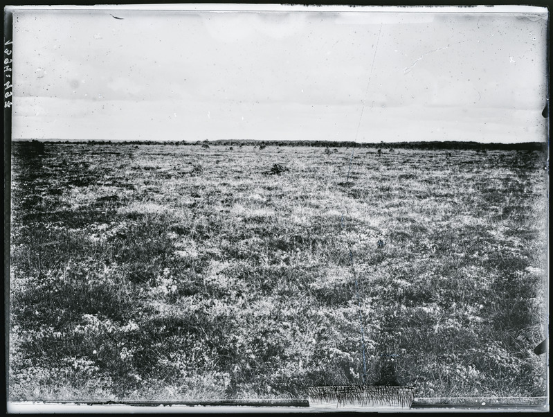 Rummu raba põhjast 1922. Rummu k, Jõelähtme khk