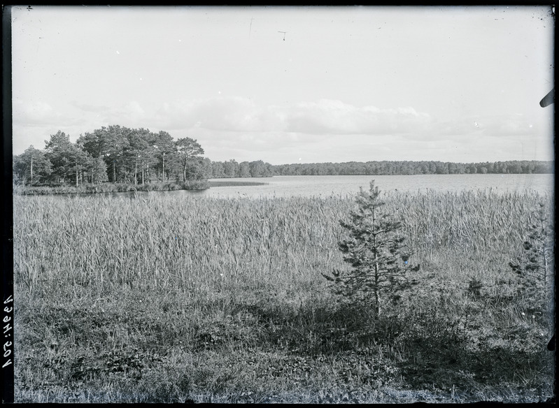 Rummu järv läänest 1922. Jõelähtme khk