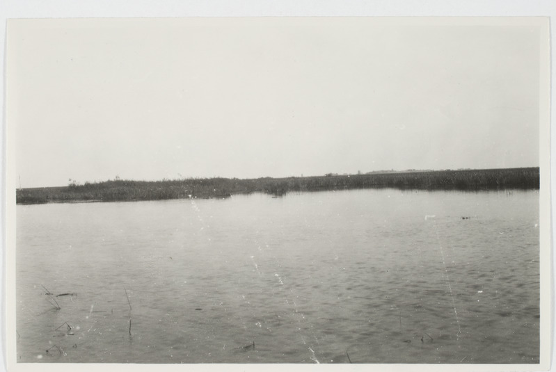 Vaade Voo luhale põhjakaldalt jõesuu kohal, 1929. Võõbsu al, Räpina khk