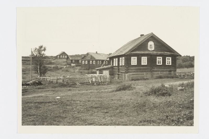 Vaade külale. Zalesje (Metsantaga) k