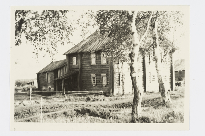 Elamu, "p´ert". Zalesje (Metsantaga) k