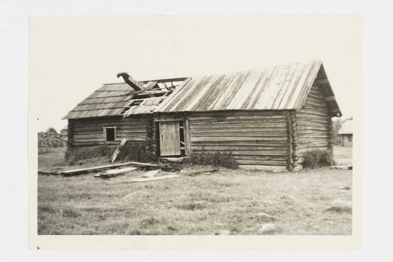 Vana rehi, "rih" tagantvaates. Vehrutšei k