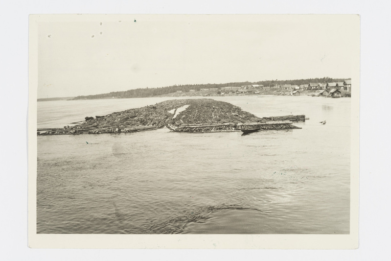 Palgiparved Sviri jõel