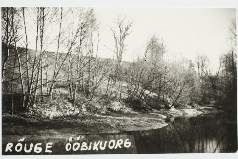 Rõuge Ööbikuoru vasak kallas ja Ööbikuoru oja