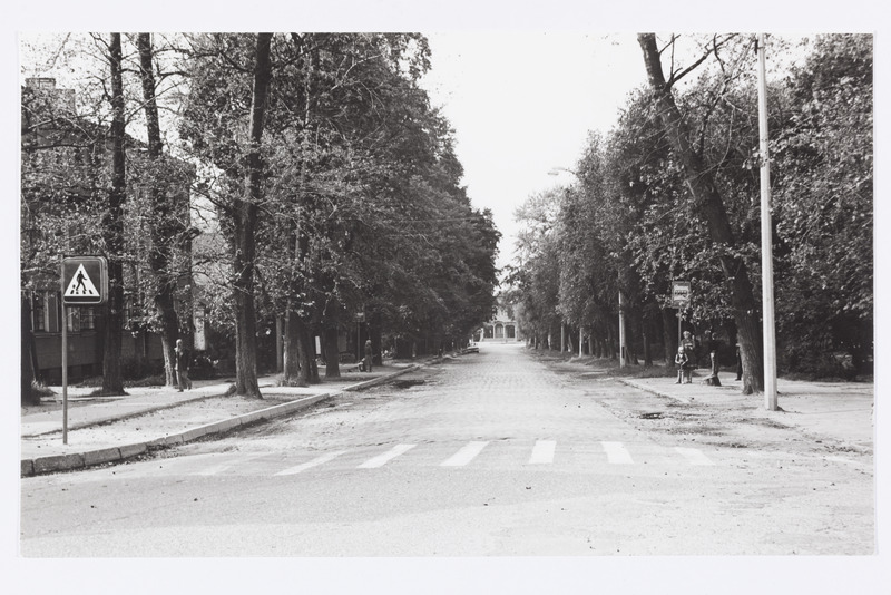 Tartu, Heidemanni tänav.