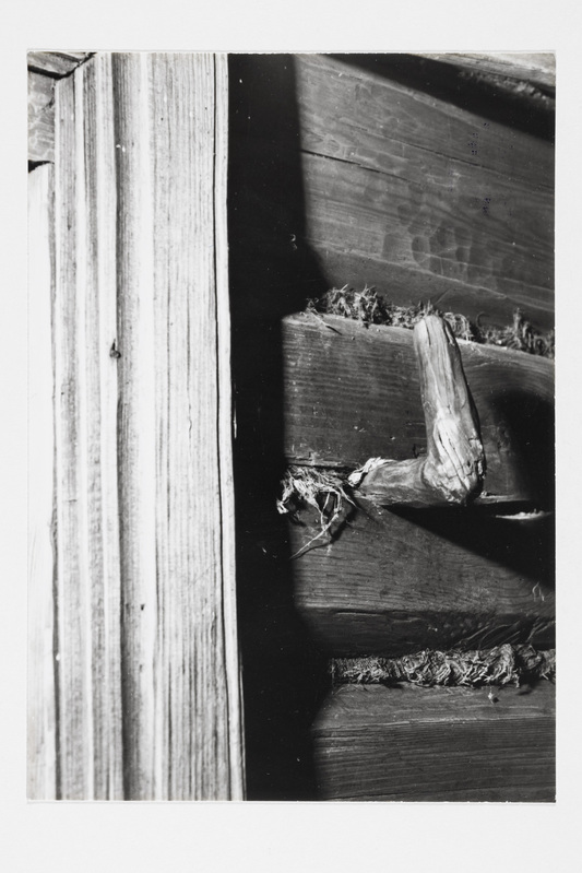 Mütsiriputuskonks "tulonja" elamu toaukse kõrval.