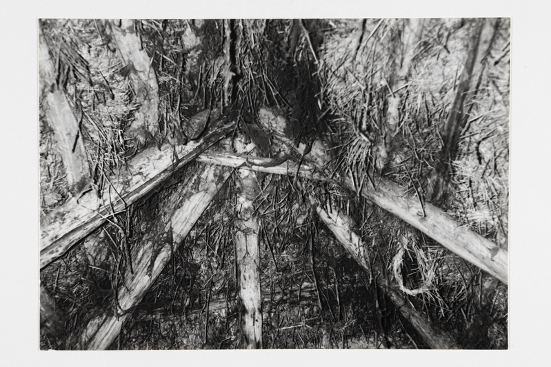 Elamu katusekonstruktsioon.