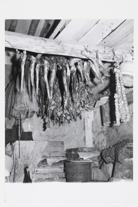 Ait, sisevaade. Laetalal ripuvad kuivatatud kalad ja seened. Omanik Vladimir Grigori poeg Ljabuðev (sünd. 1917).