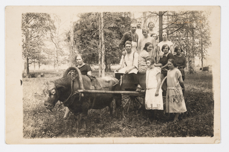 Seltskond vankris. Vankri ette on rakendatud härg. 1928. a.