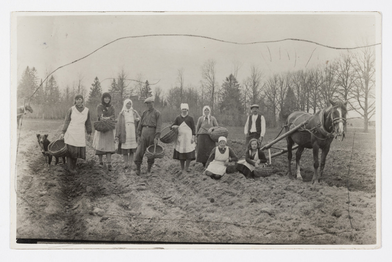 Kartulivõtmise talgud 1920.-dail aastail