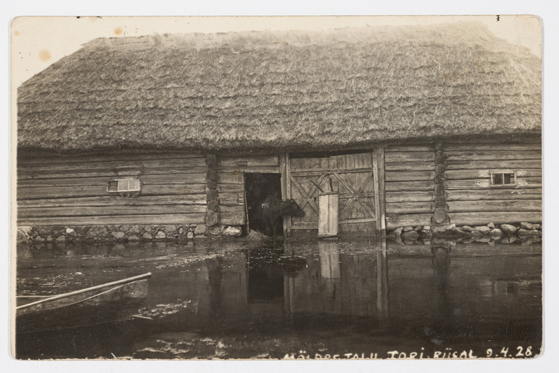 Üleujutus Riisa küla juures 9. aprillil 1928. a.