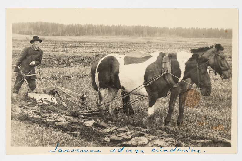 Adraga kündmine Saksamaal. Kevadkünd 1910. a.?