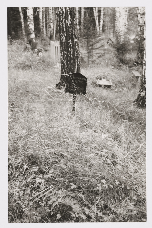 Ristimata mari hauaküngas Sõzganka lähedal kalmistul.