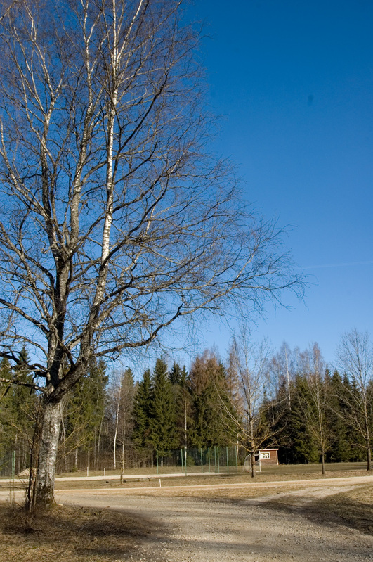 Vaade Paduvere talumuuseumi spordiväljakule