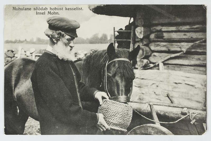 Muhulane söödab hobust kesselilt