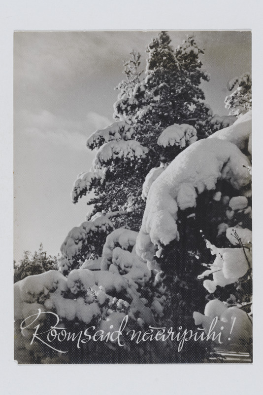 Fotopostkaart lumiste kuuskedega ning tekstiga "Rõõmsaid nääripühi!"