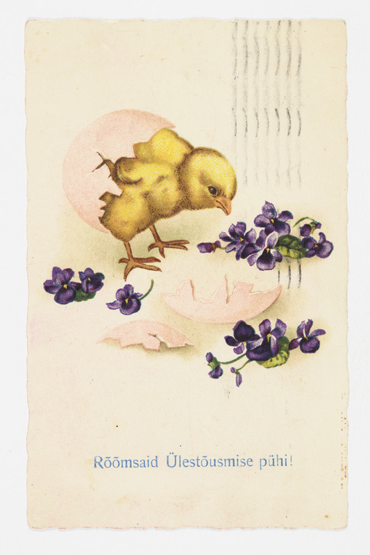 Lihavõttekaart munakoorest kooruva tibuga ja kannikestega ning tekstiga "Rõõmsaid Ülestõusmise pühi!"