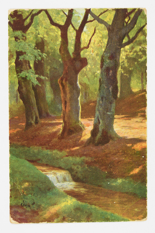 Postkaart metsa ja ojaga