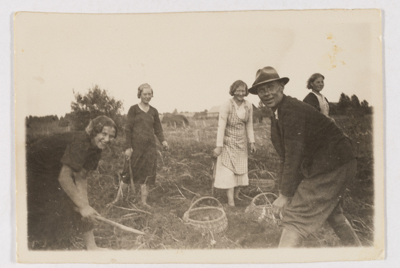 Kartulivõtmise talgud, 1937