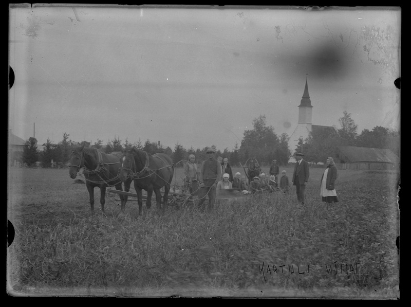 Töölised ja hobused kartulipõllul Puhja kiriku lähedal