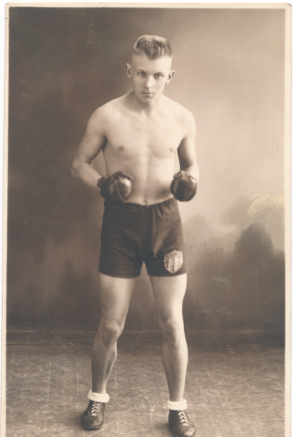 Poksija V. Mürk