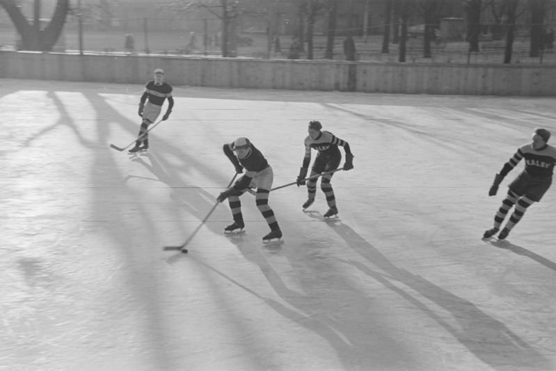 Eesti meistrivõistlused jäähokis 1950