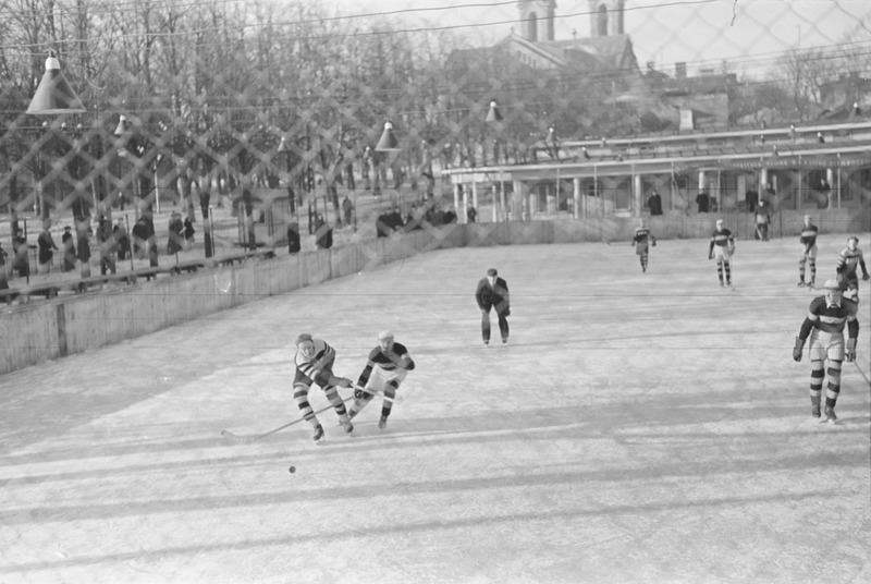 Eesti meistrivõistlused jäähokis 1950