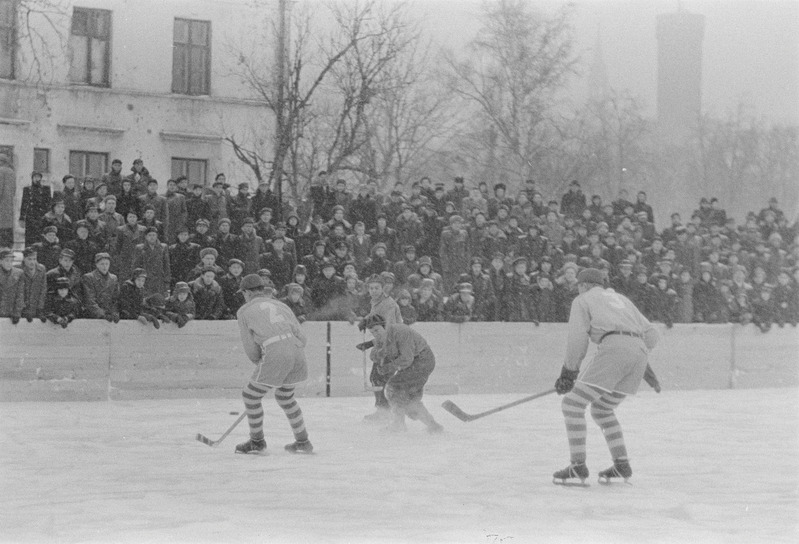 Jäähoki