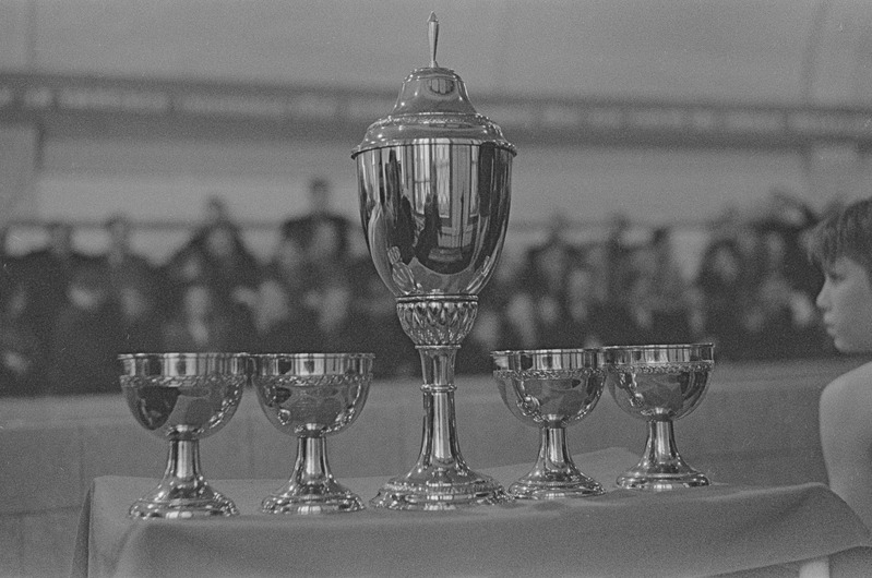 Ajalehe "Noorte Hääl" karikavõistlused ujumises 1950