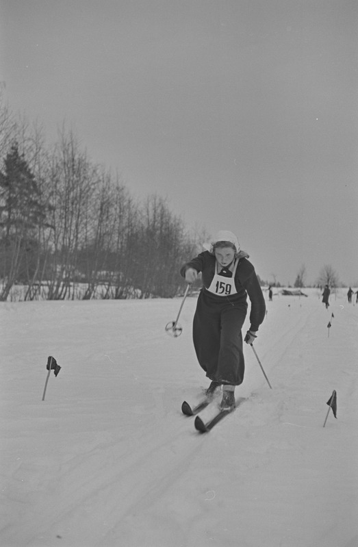 Kolhoosinoorte meistrivõistlused suusatamises 1951