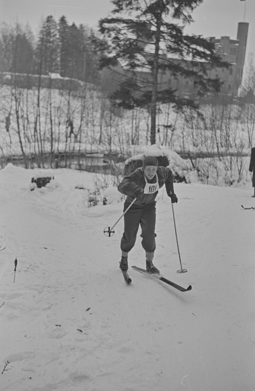 Kolhoosinoorte meistrivõistlused suusatamises 1951