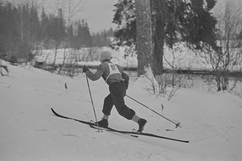 Kolhoosinoorte meistrivõistlused suusatamises 1951