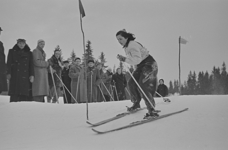 Kolhoosinoorte meistrivõistlused mäesuusatamises 1951