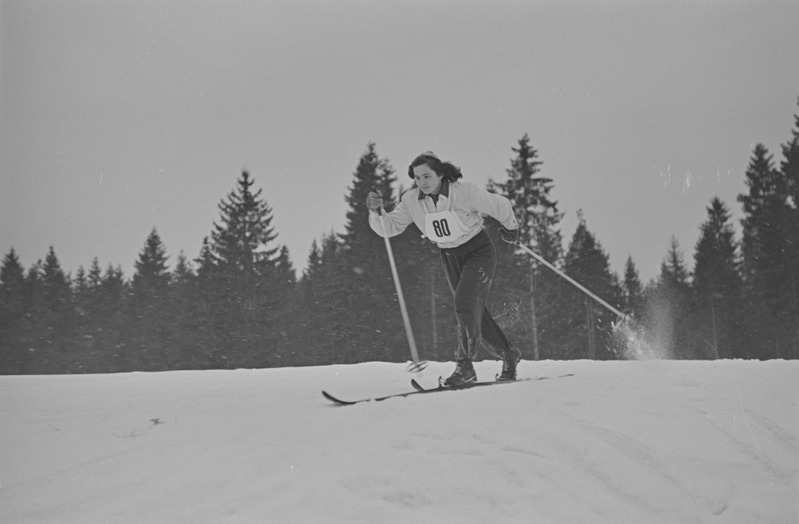 Kolhoosinoorte meistrivõistlused suusatamises 1951