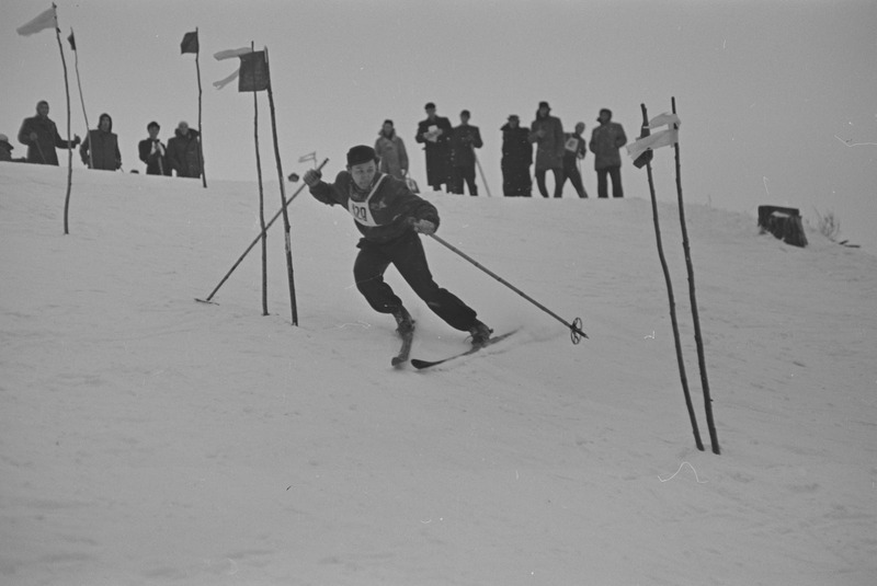 Kolhoosinoorte meistrivõistlused mäesuusatamises 1951