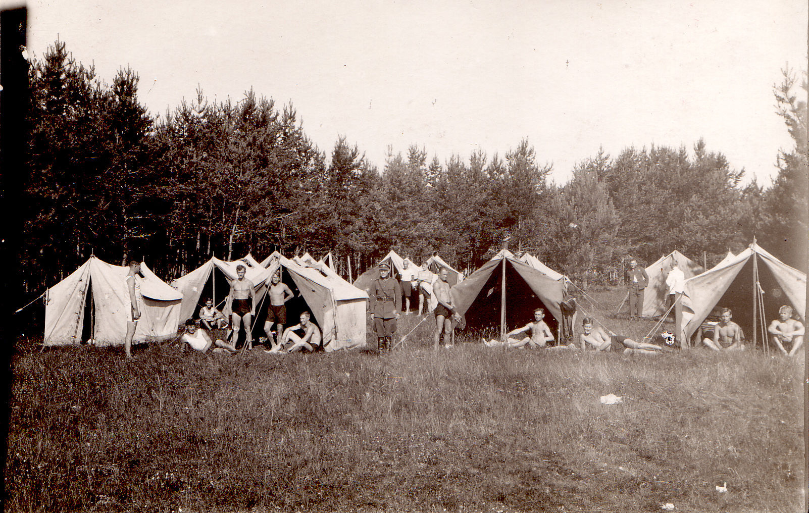 Eesti Kaitseväe kehalise kasvatuse kursused 1924