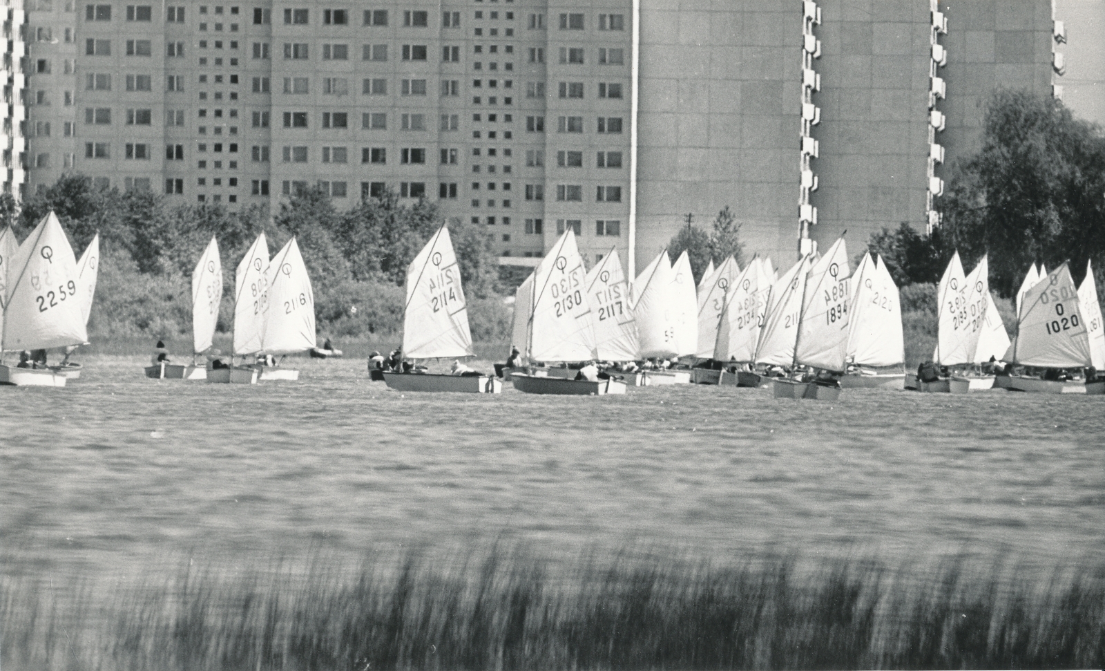 2. Spinnakeri regatt