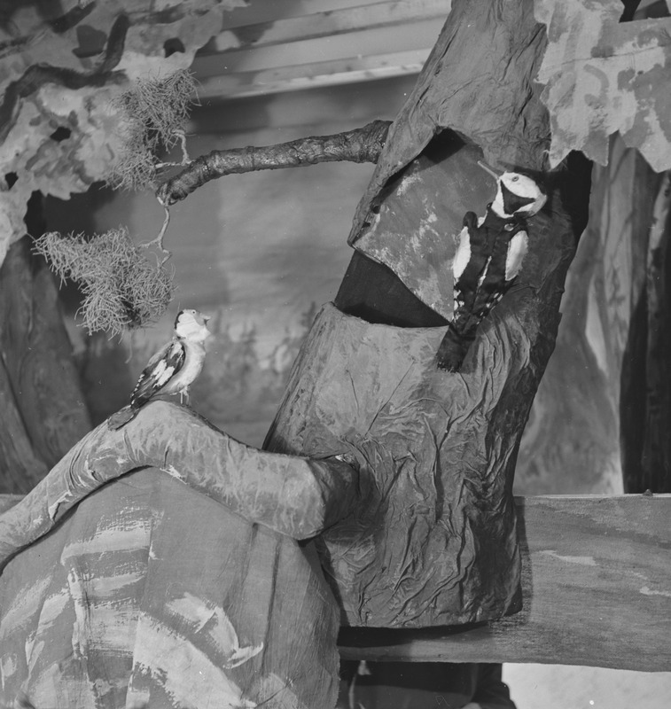 Metsa muinasjutt, Nukuteater, 1952, osades: Ohakalind – Aili Leetva, Rähn – Evald Aavik