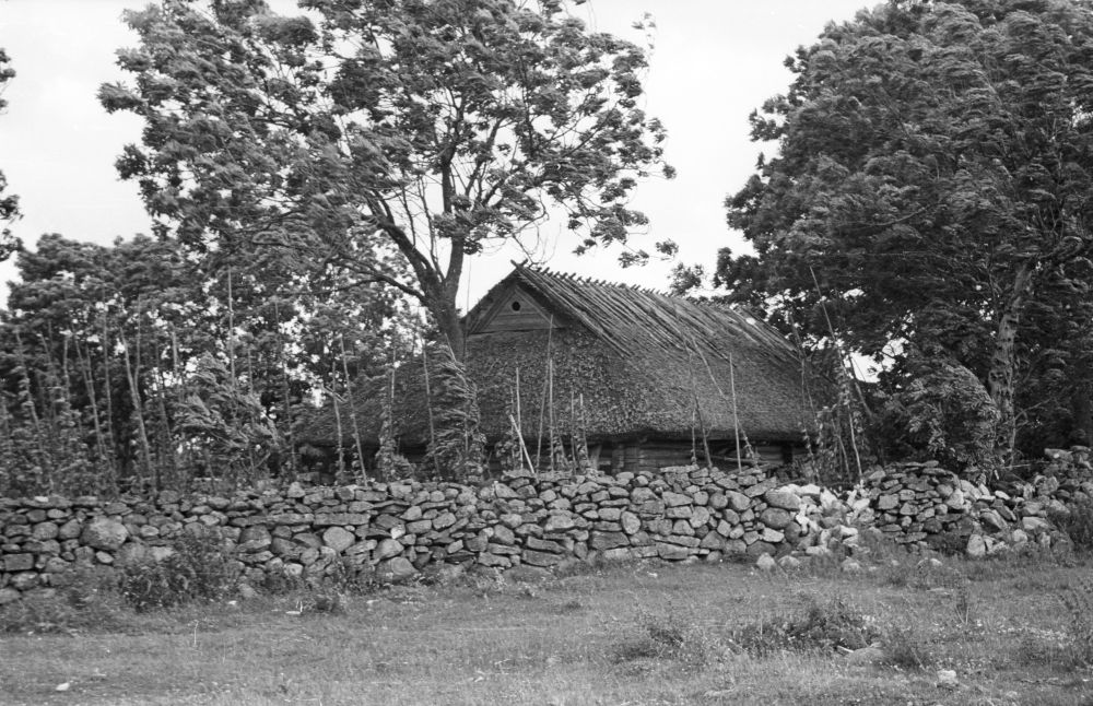 Liigalaskma küla Rusniku talu ait