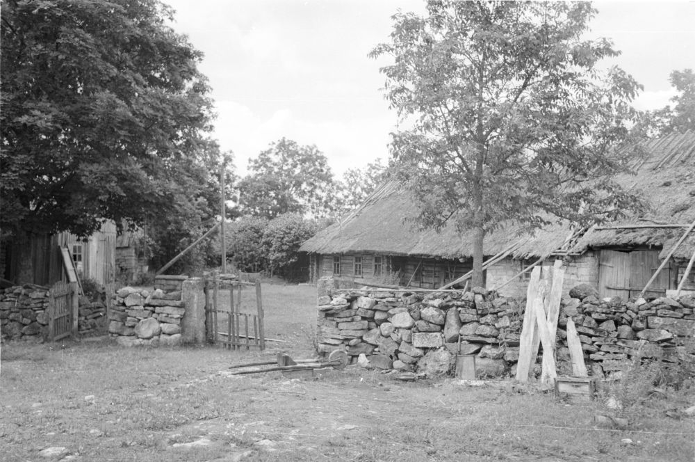 Oldi talu õu Liigalaskma külas.