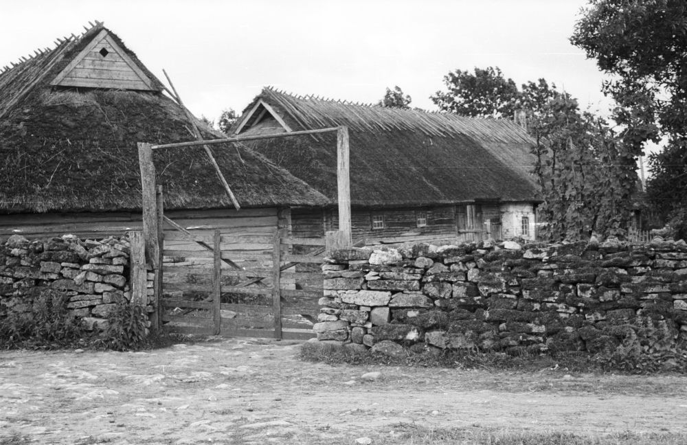 Liigalaskma küla Sassi talu õuevärav