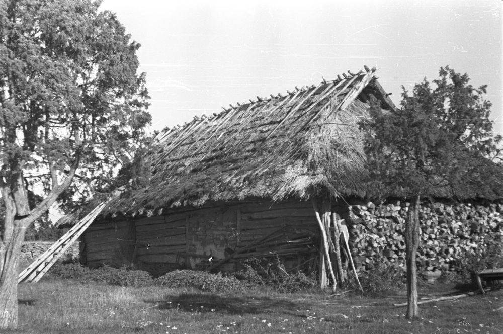 Nõmme-Kristjani talu kartulituba Ulja külas