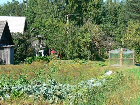 Peenramaa Kundruse külas